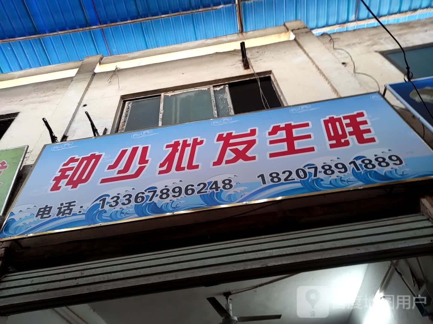 钟少批发生蚝