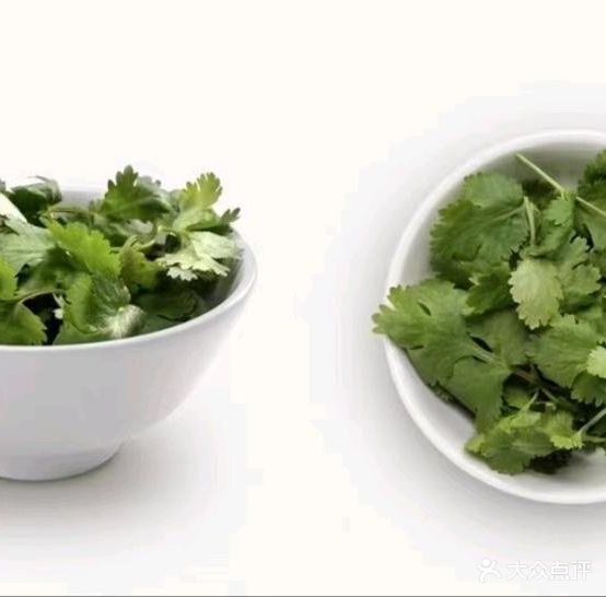 成渝穿菜馆(福州绕城高速店)