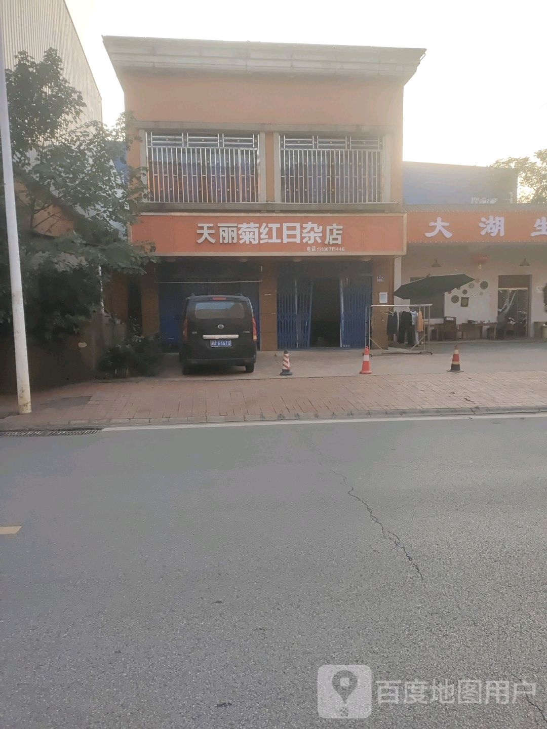 天丽菊红日杂点