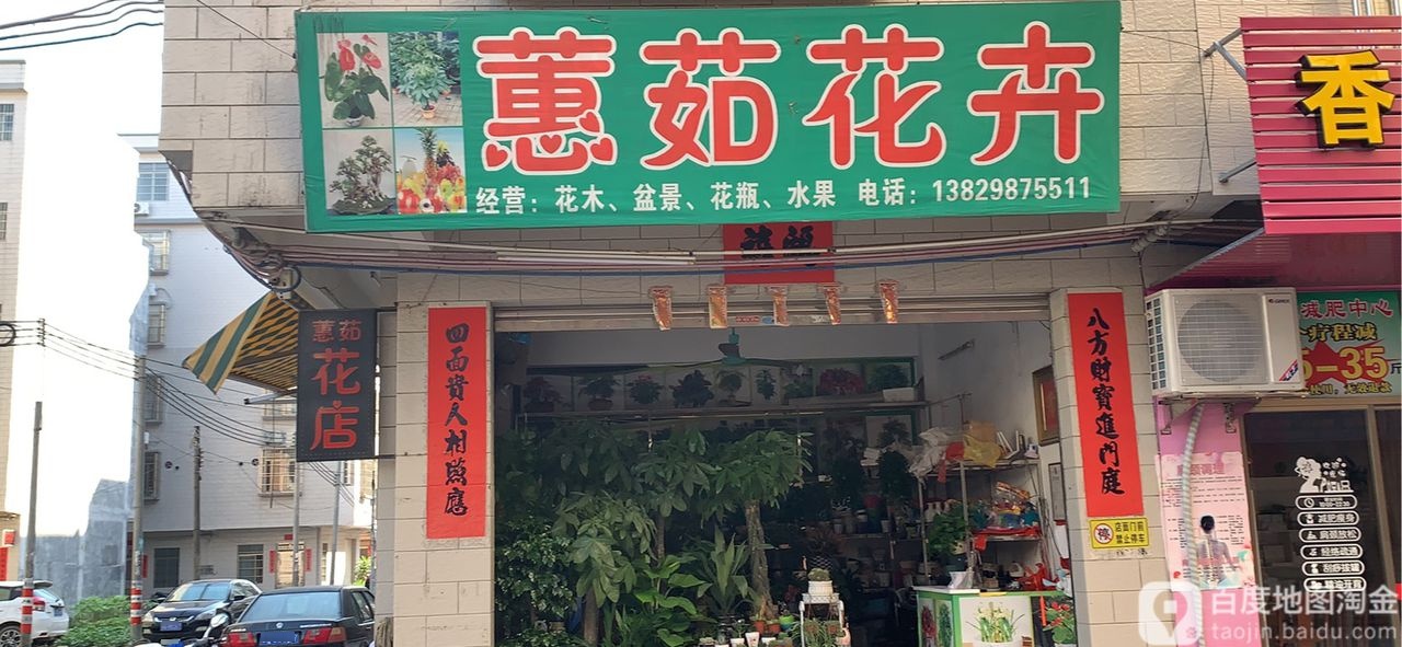 蕙茹花卉