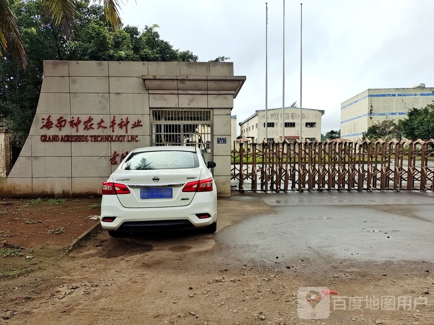 神农大丰临高种子生产基地