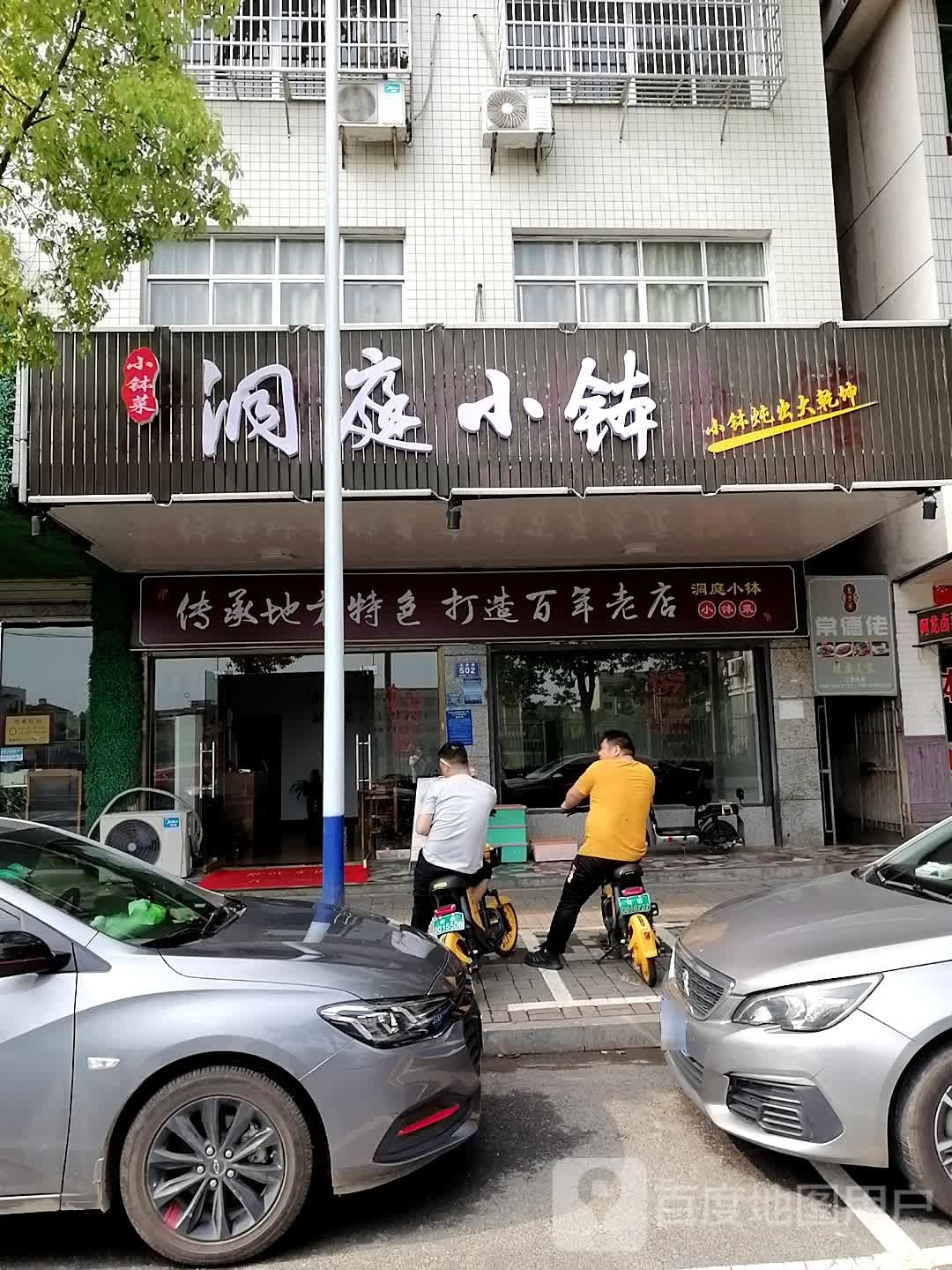 小钵菜洞庭小钵