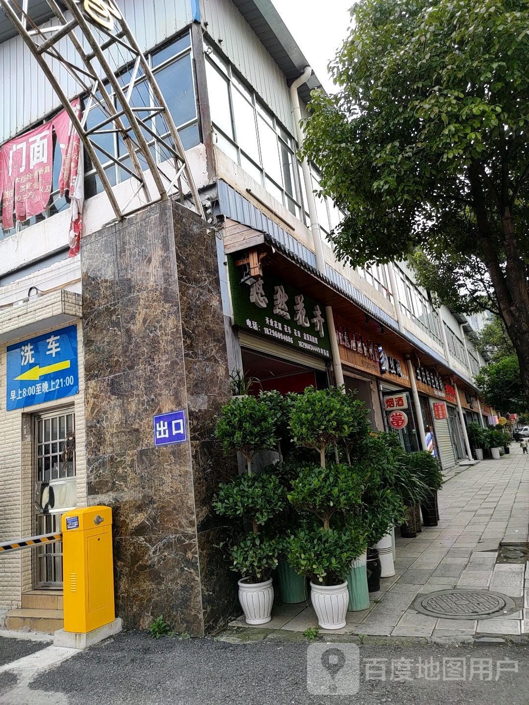 悠然花鸟(坪东店)