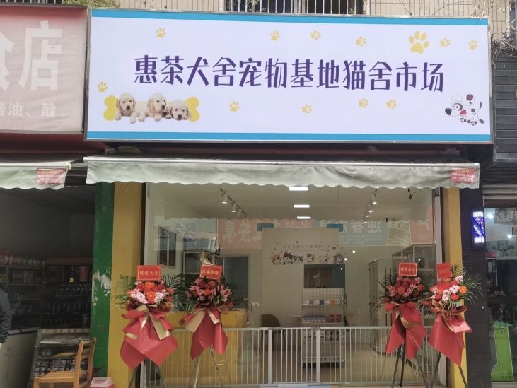海口短短犬舍宠物市场猫舍犬舍购宠基地