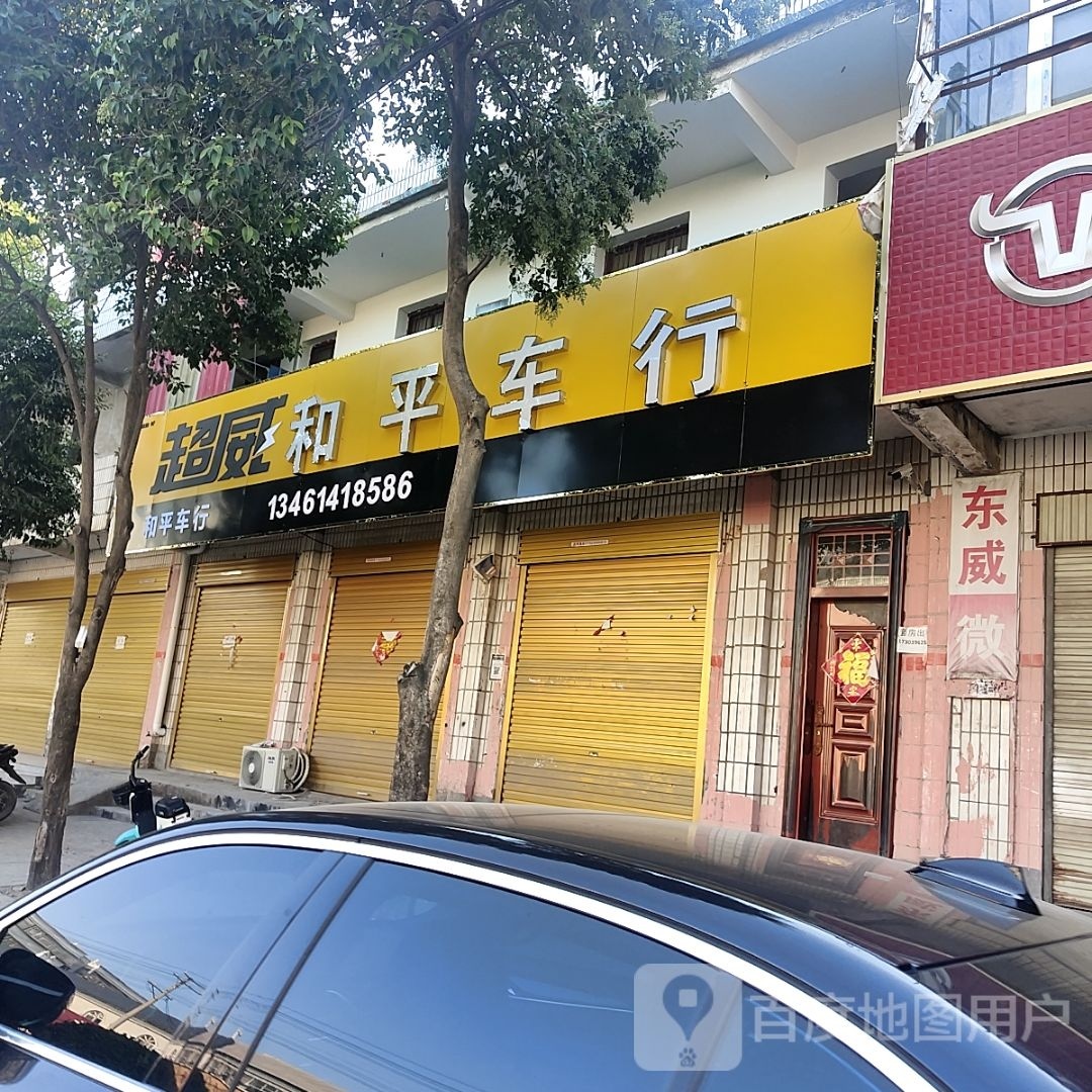 平舆县和平车行(挚地大道店)