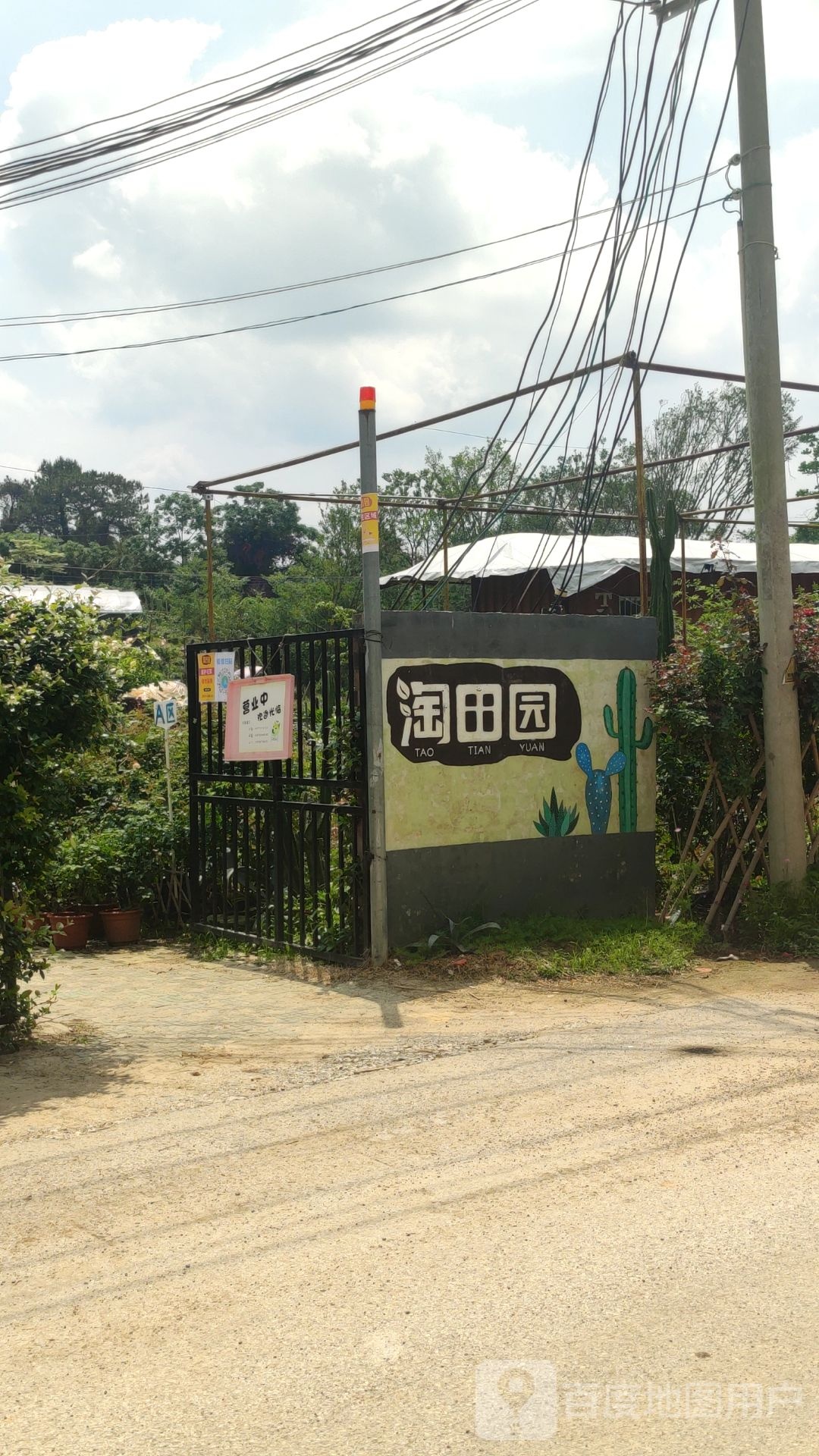 淘田园玫瑰园