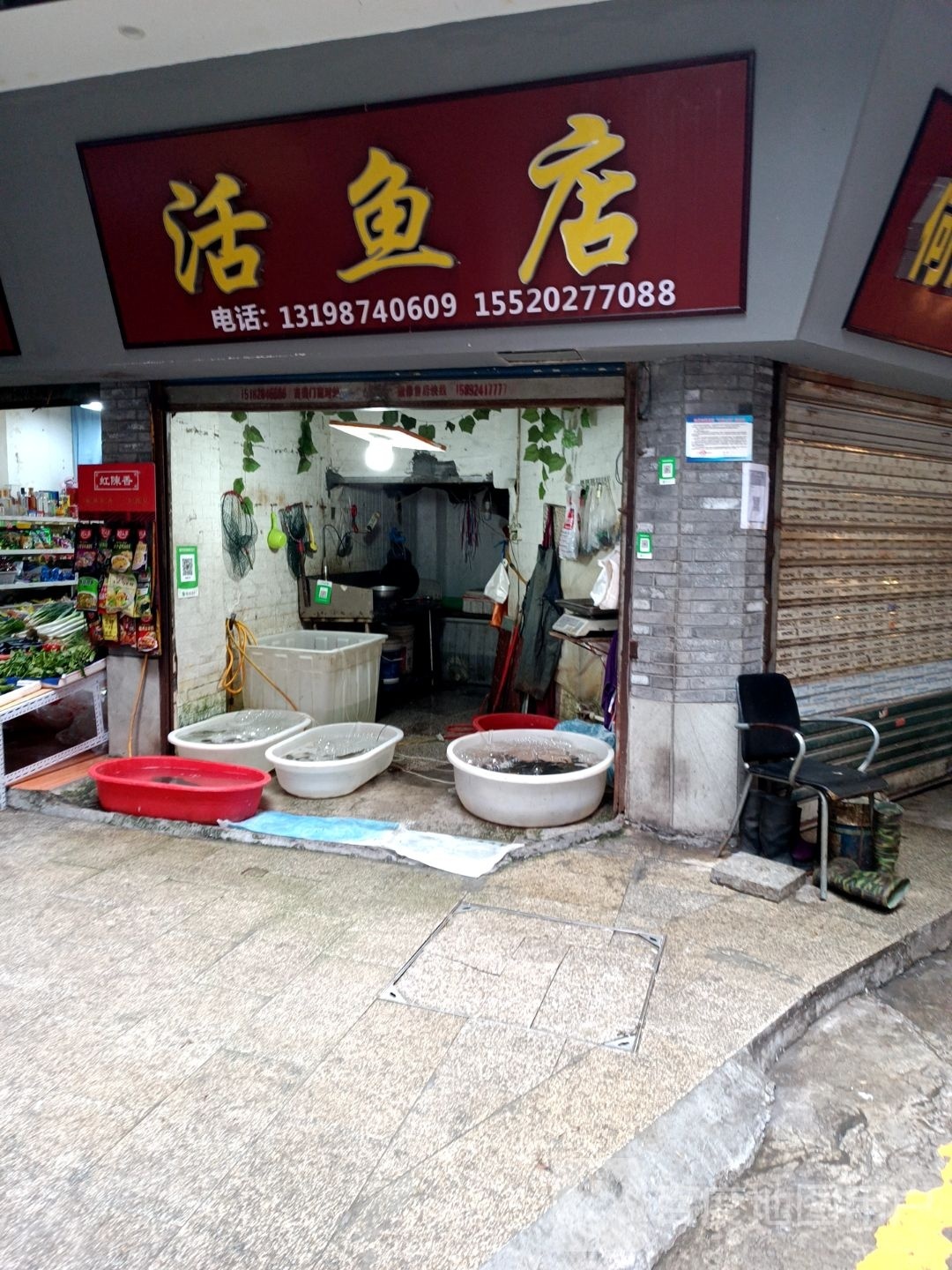 活鱼店