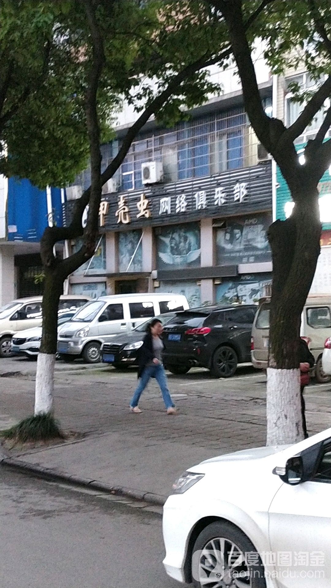 甲壳虫网络俱乐部