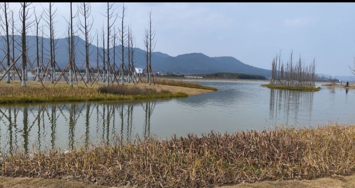 七里坝湿地公园