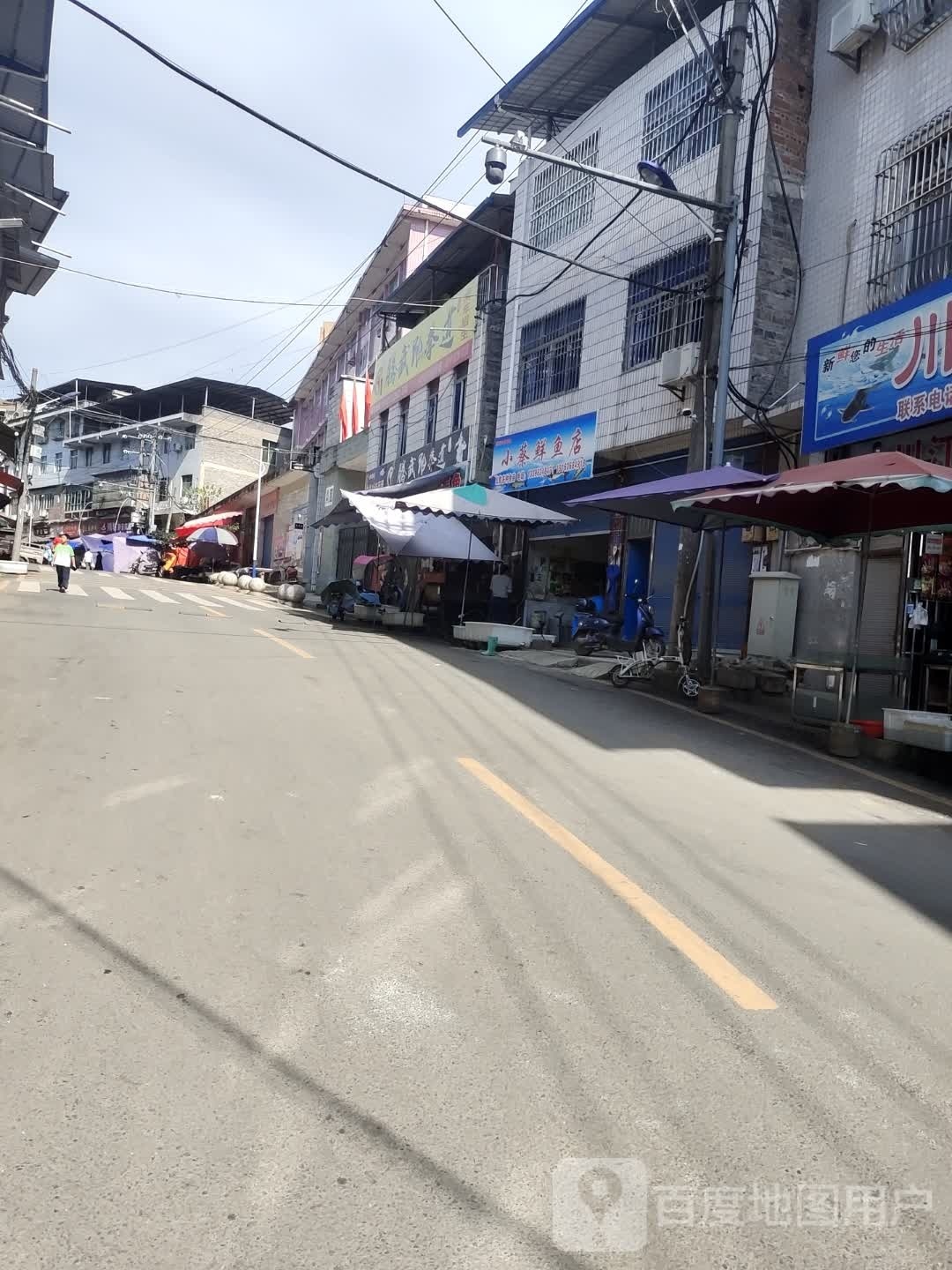 小蔡鲜鱼店
