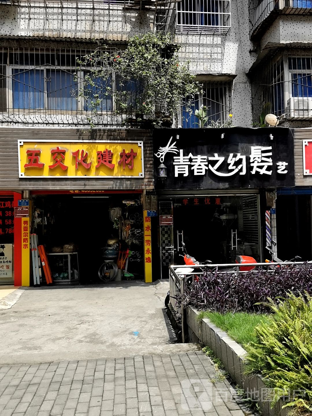 青春之约发艺