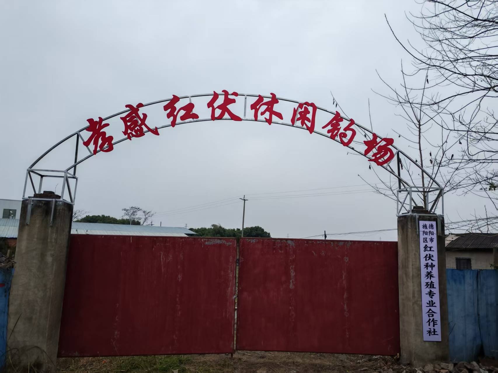 孝感红伏休闲钓场
