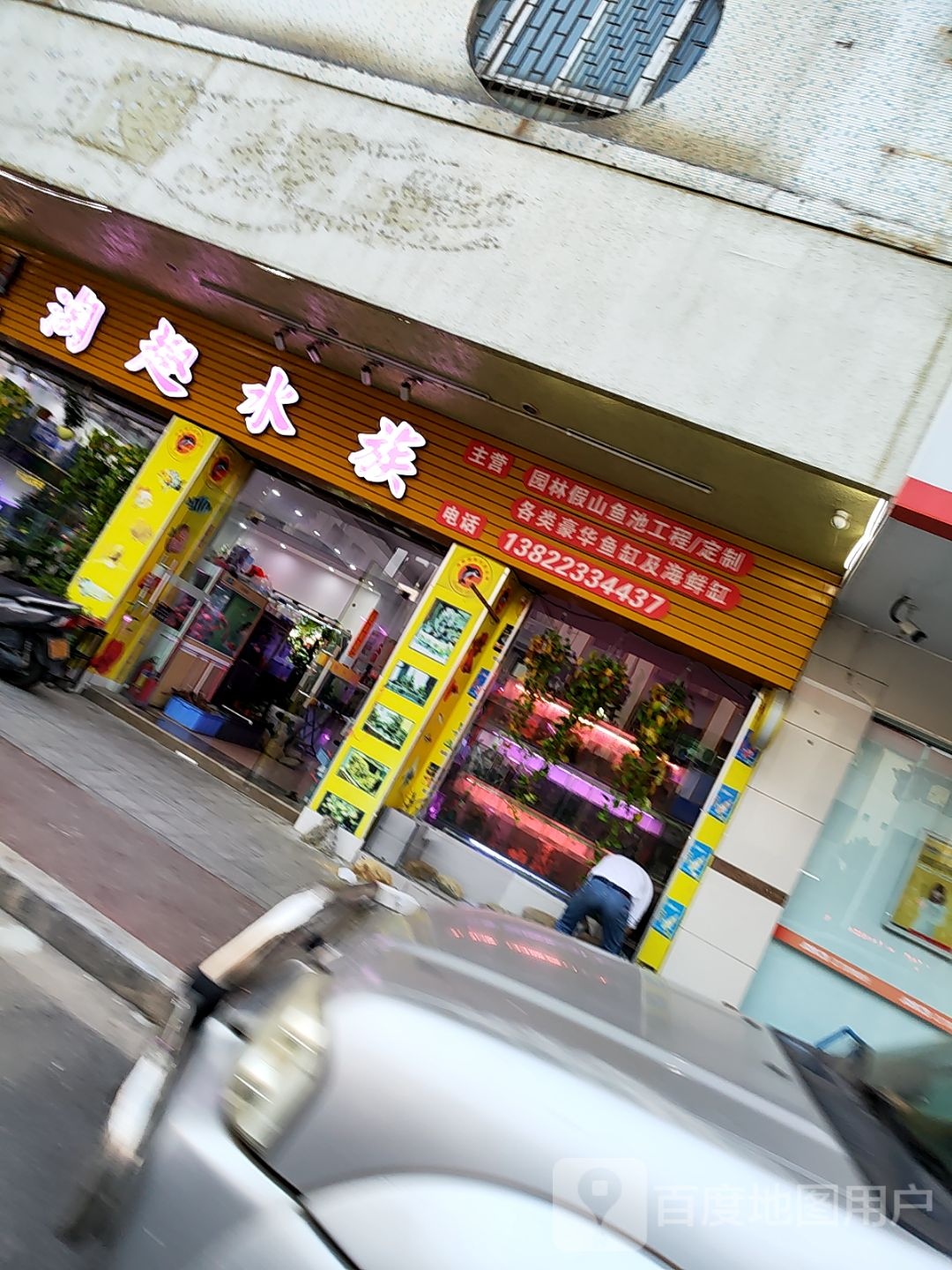 淘趣水族(文昌花园店)