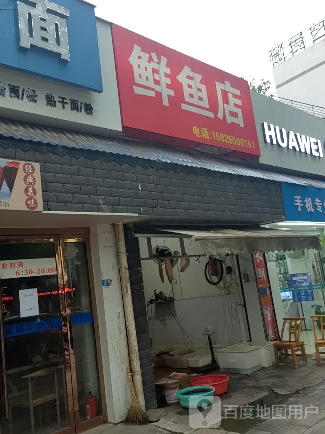 鲜鱼店