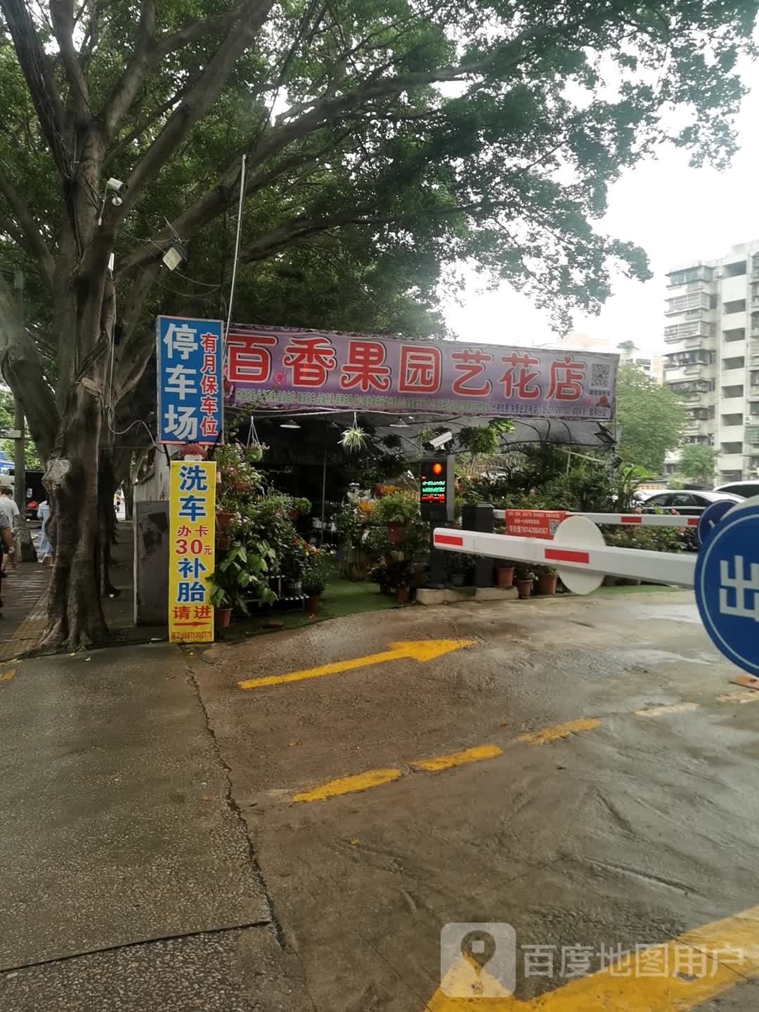 百香果临沂花店