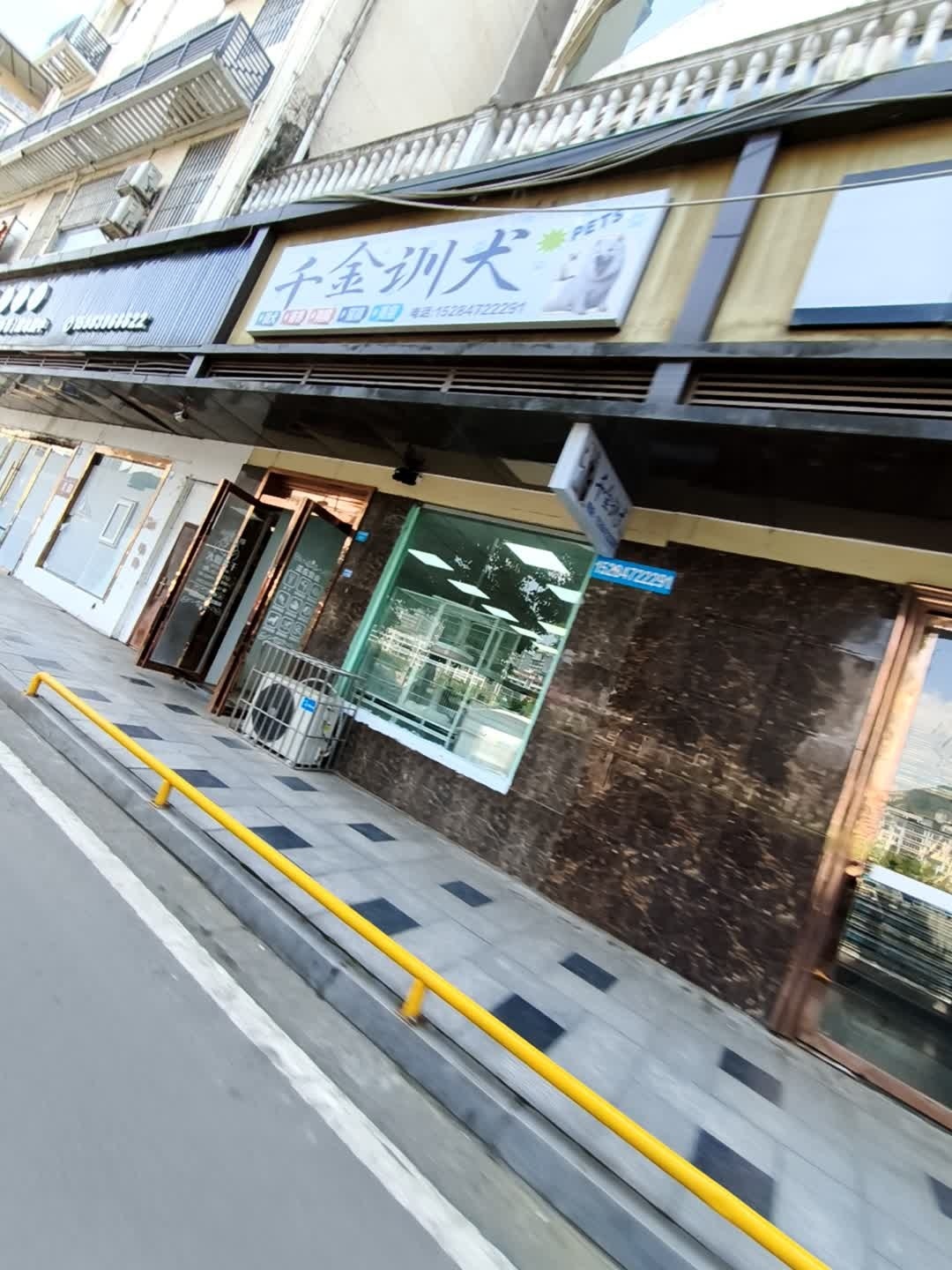 千金训犬(润州小区店)