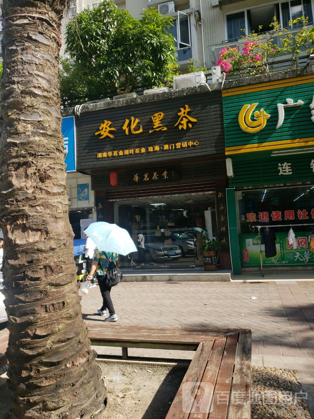 安化黑茶(锦柠路店)