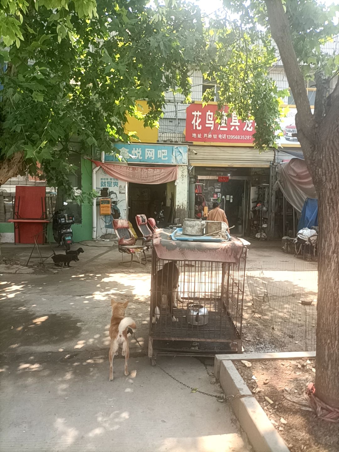 鑫悦网吧(家乐购超市店)