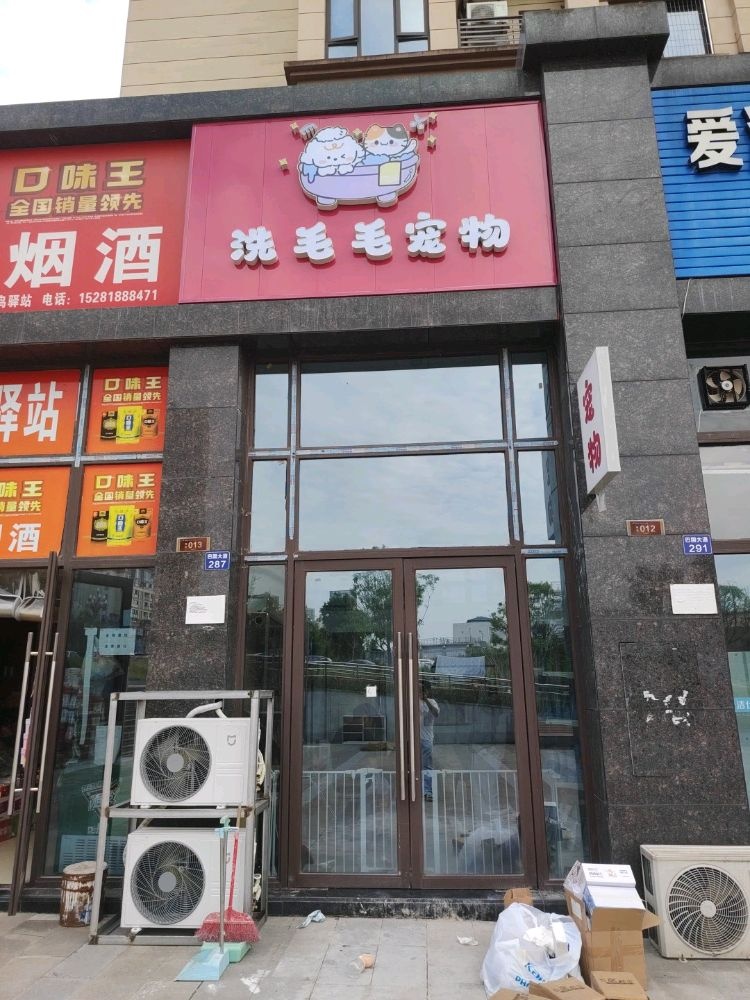 洗猫猫宠物