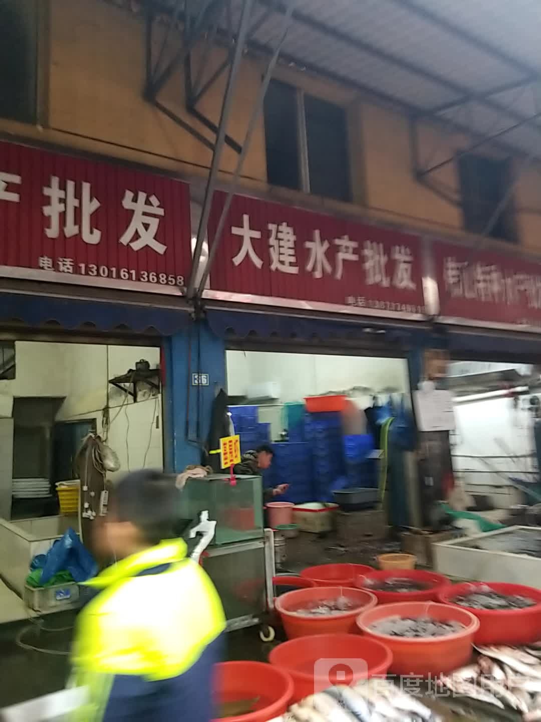 大建水产批发