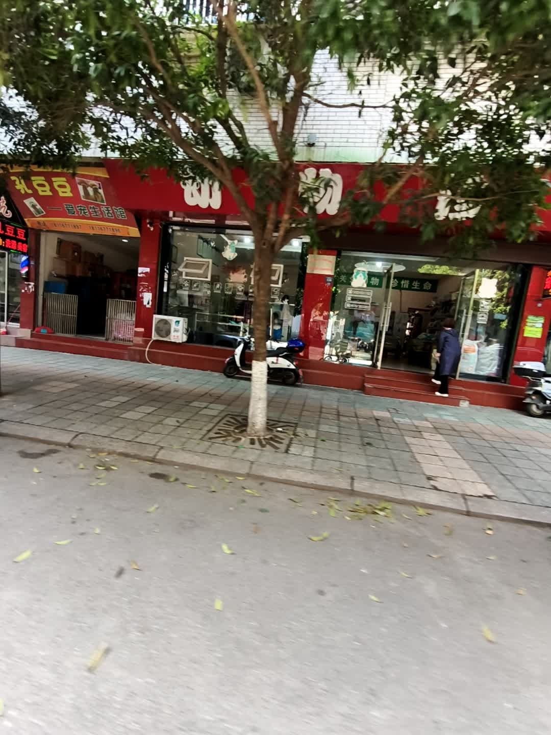 孔豆豆爱宠生活馆