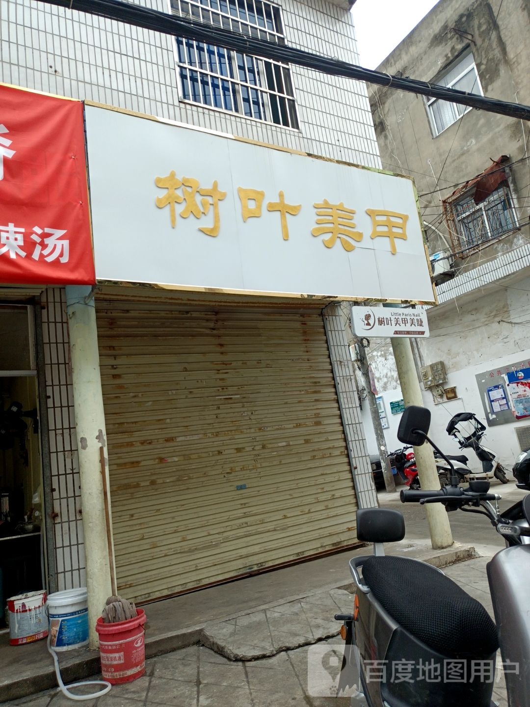 树叶美容