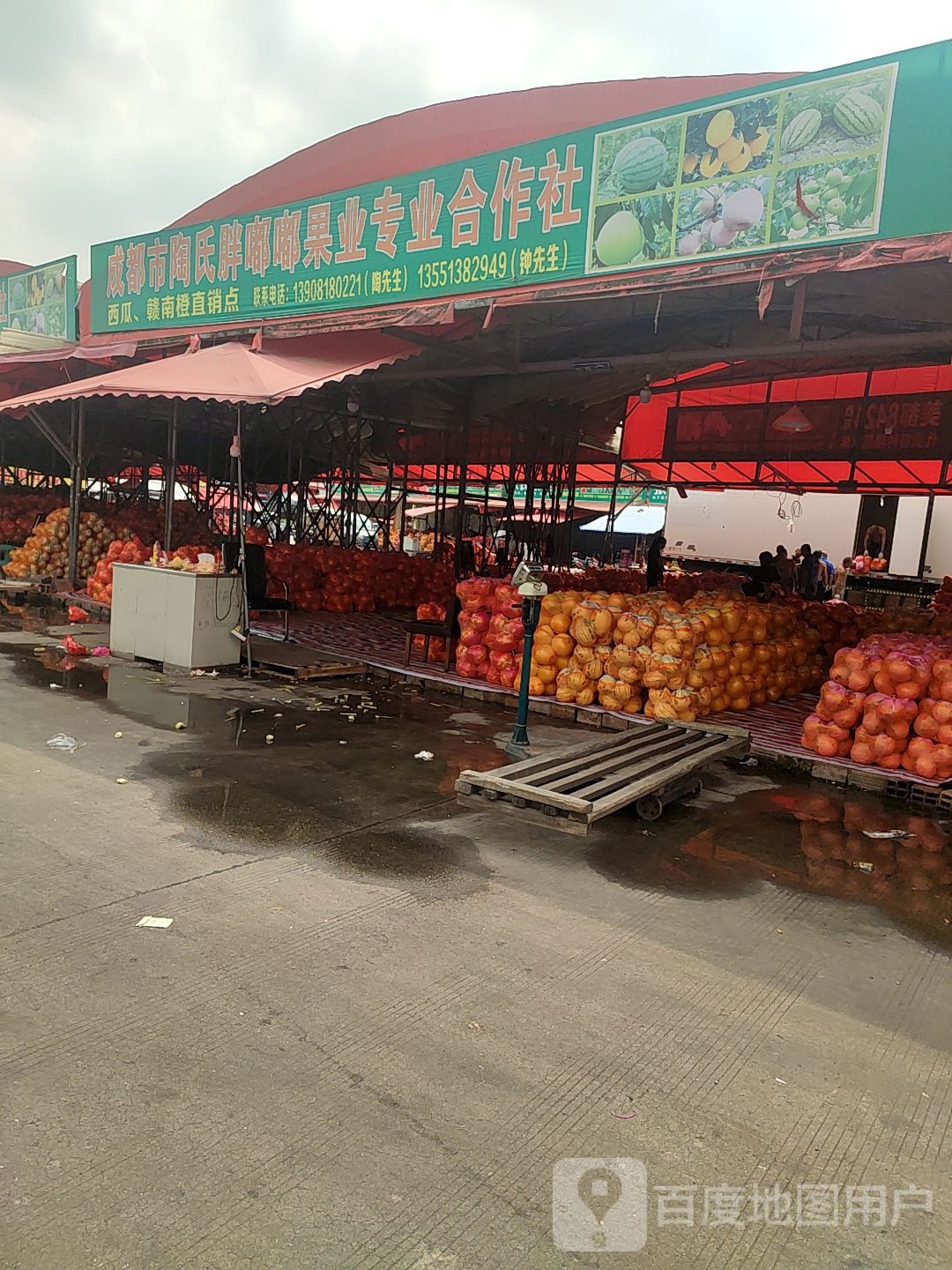 成都市陶氏胖嘟嘟果业专业合作社