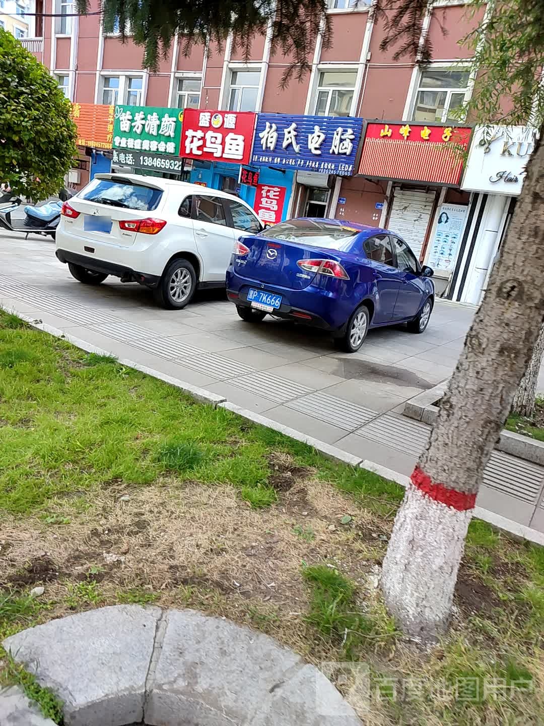 苗芳清颜(加格达奇店)