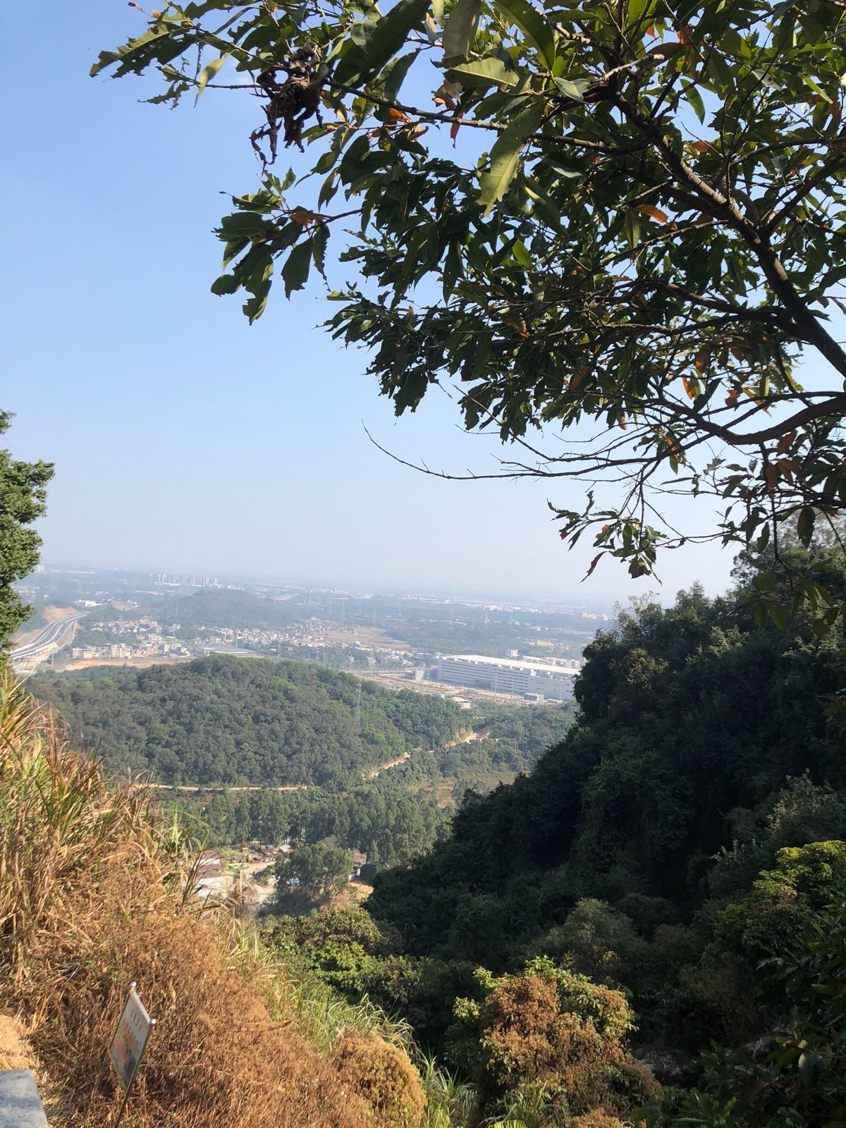 南香山森林公园