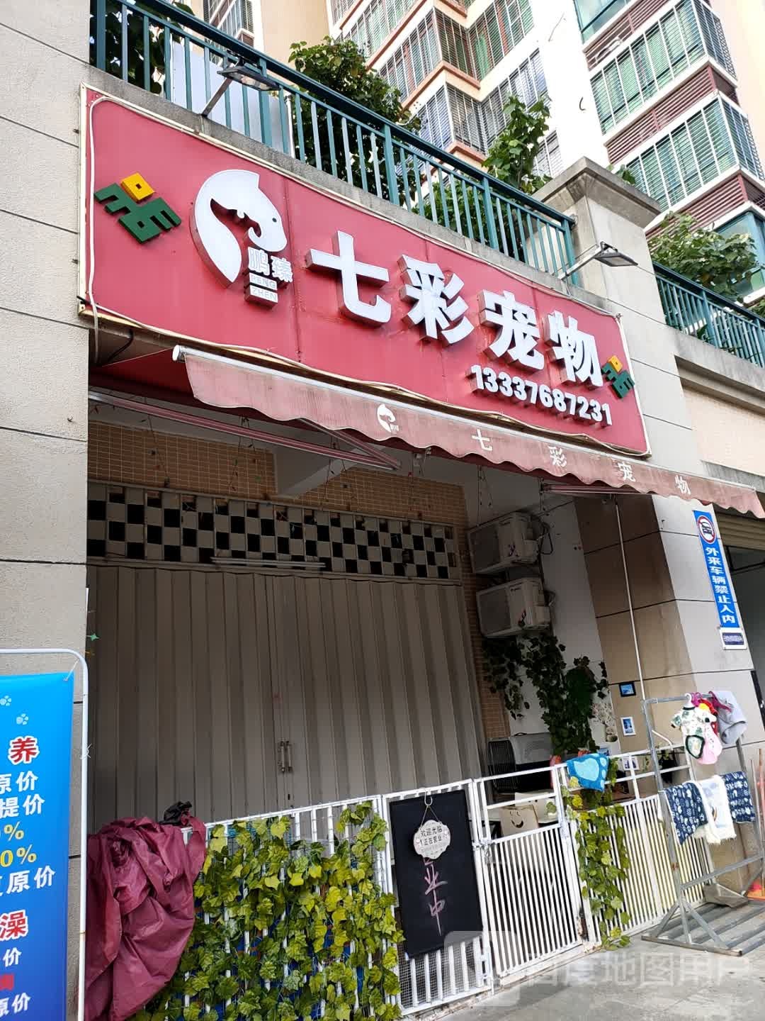 七彩宠物店