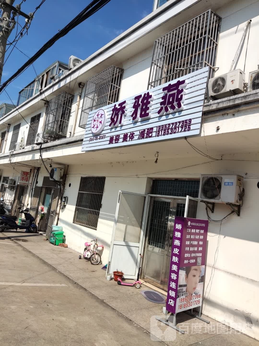 娇雅燕