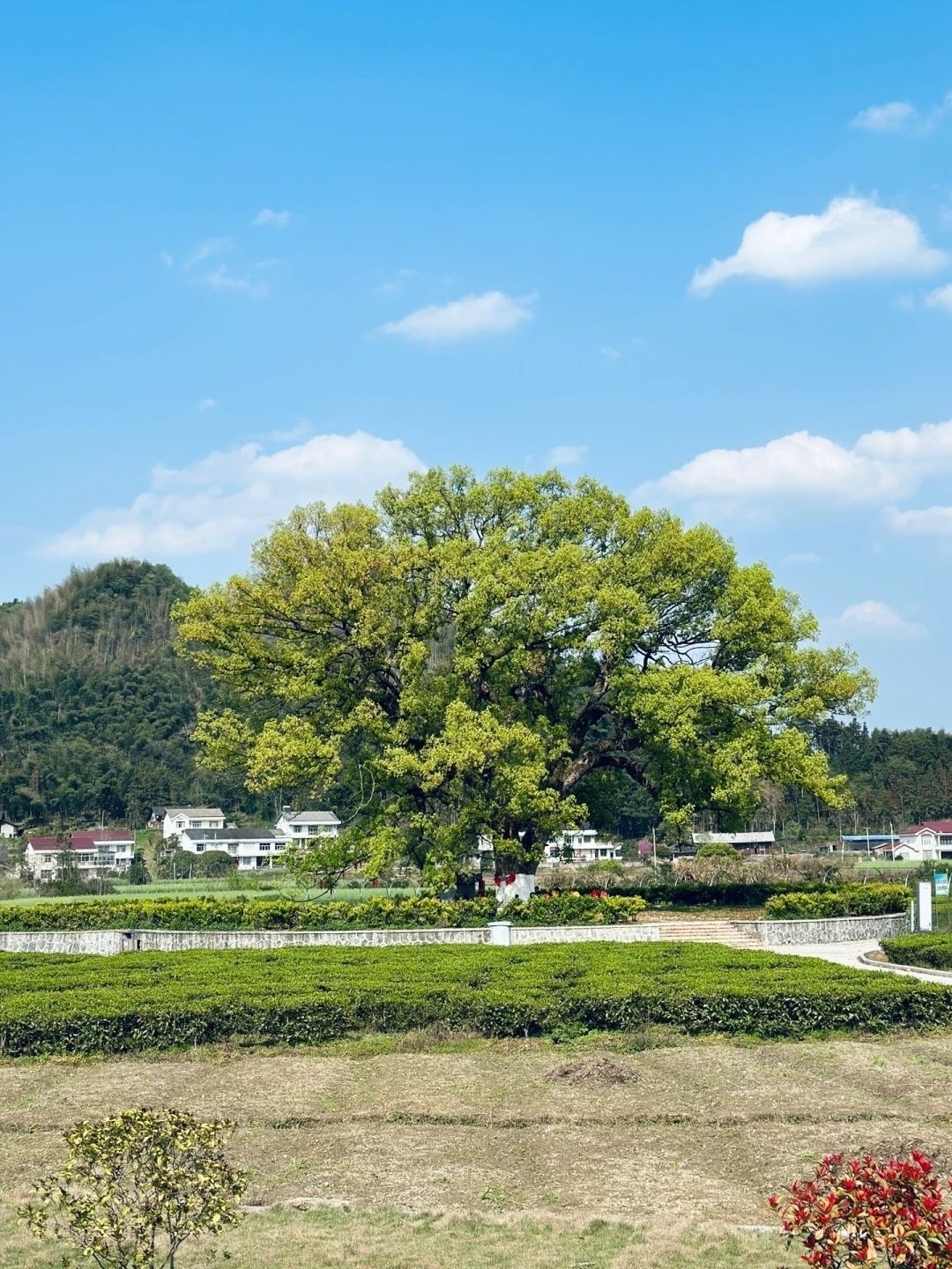 夷望溪景区