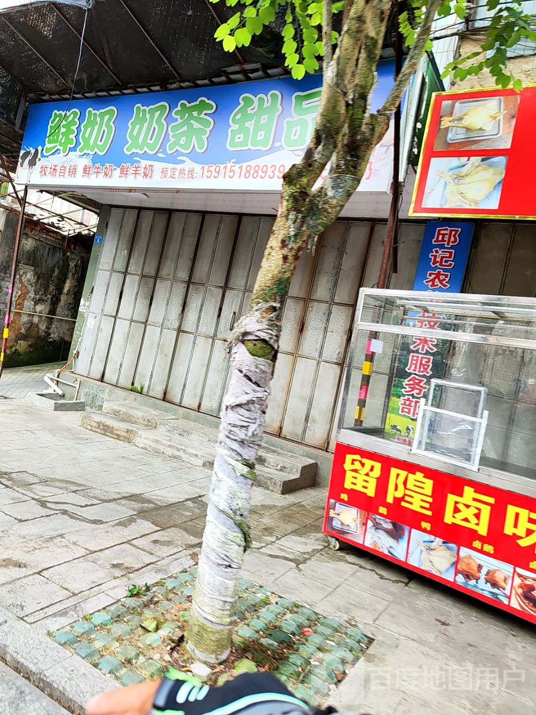 鲜奶奶茶甜品