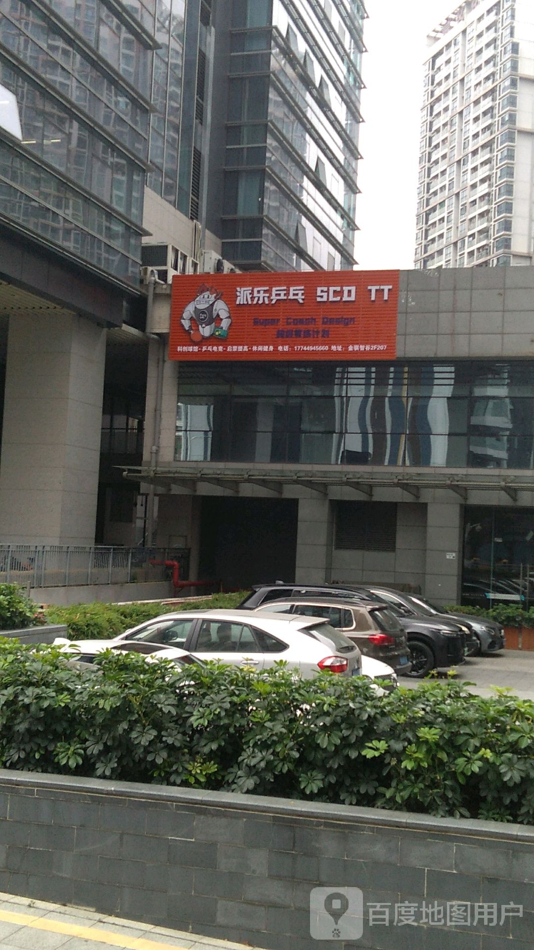 派乐乒乓SCD(西丽店)