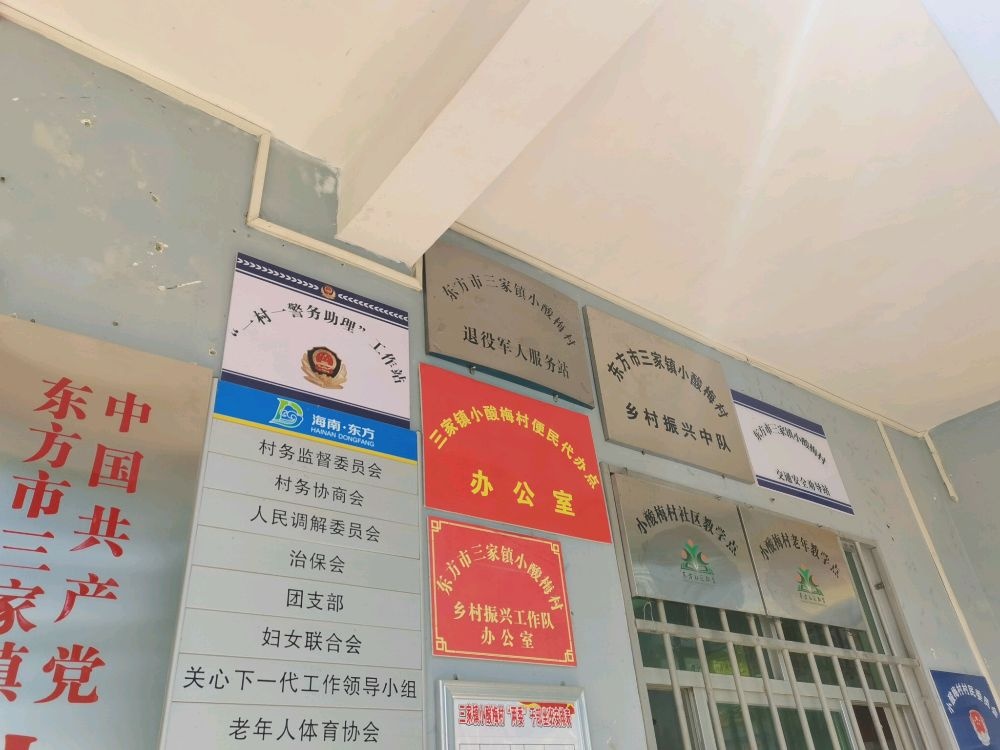 三家镇小酸梅村退役军人服务站