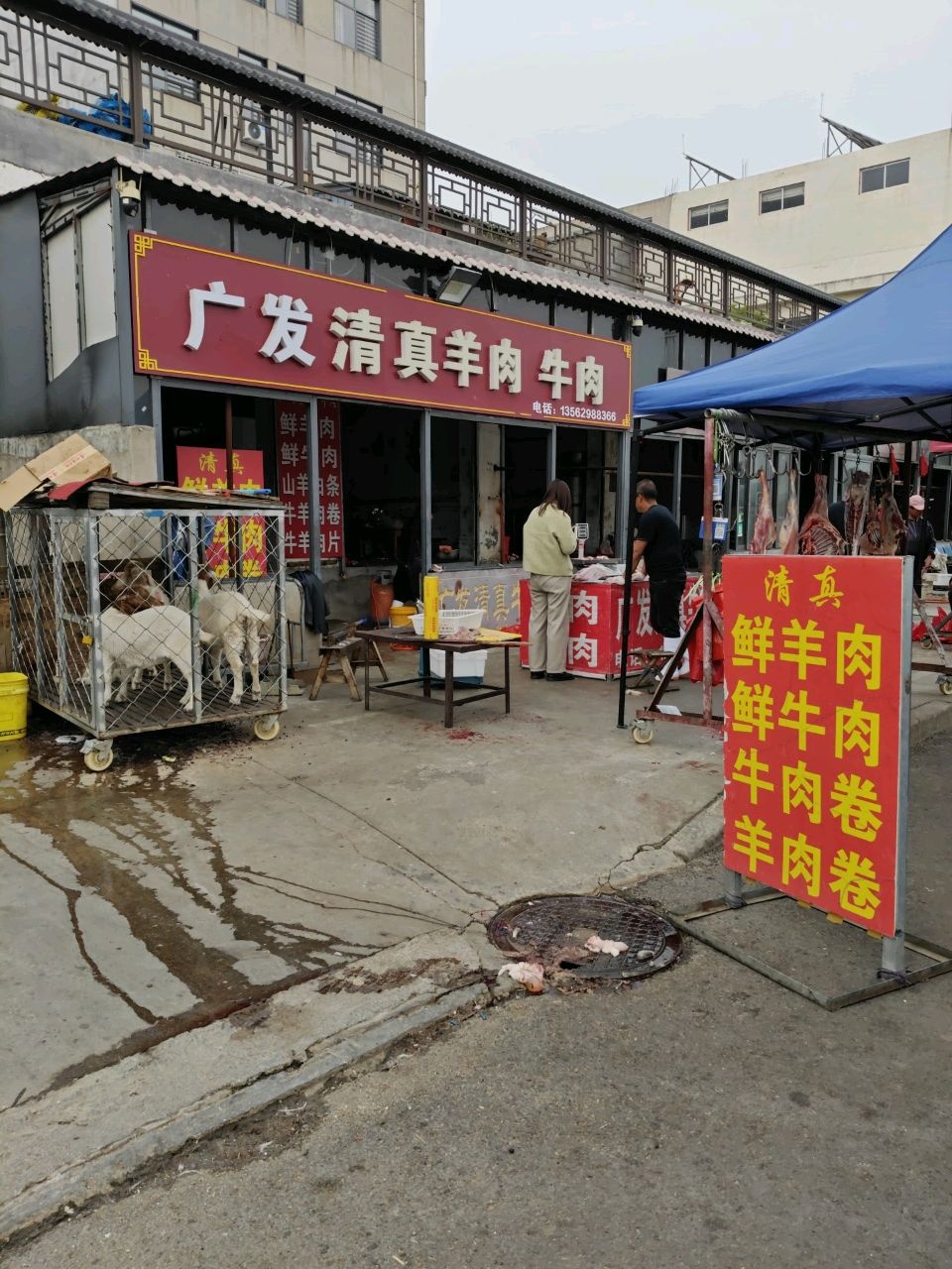 清真龙学羊肉牛肉