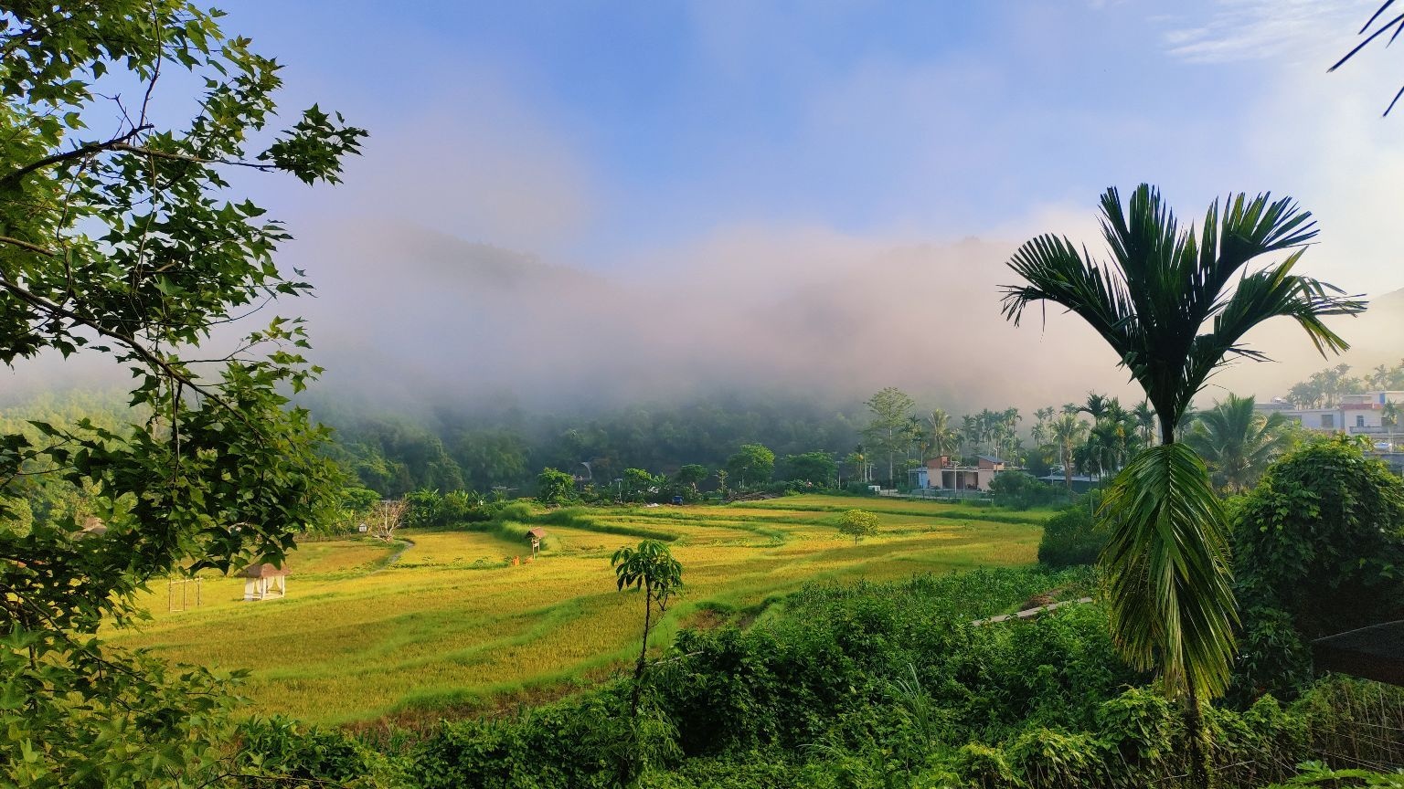 五指山方诺寨热带雨林景区