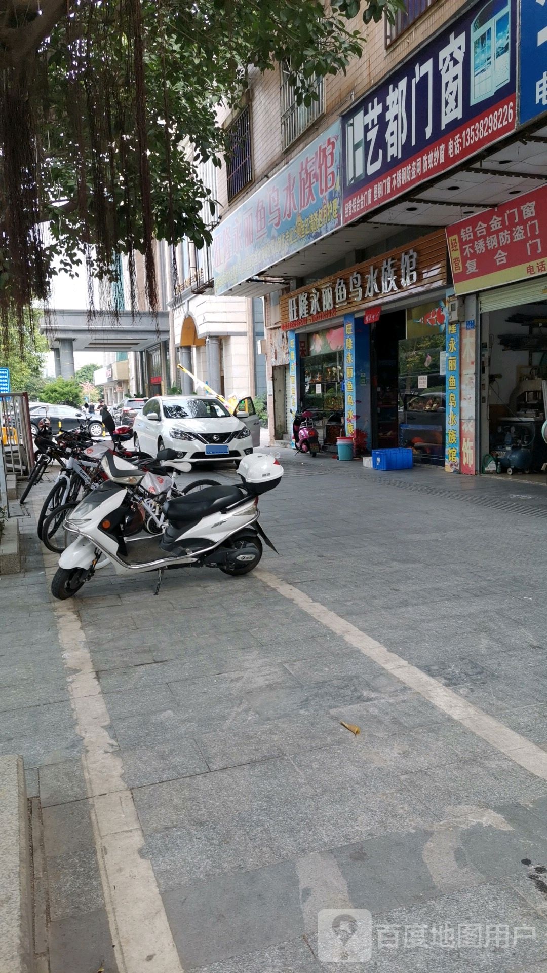 旺隆永丽鱼鸟水族馆