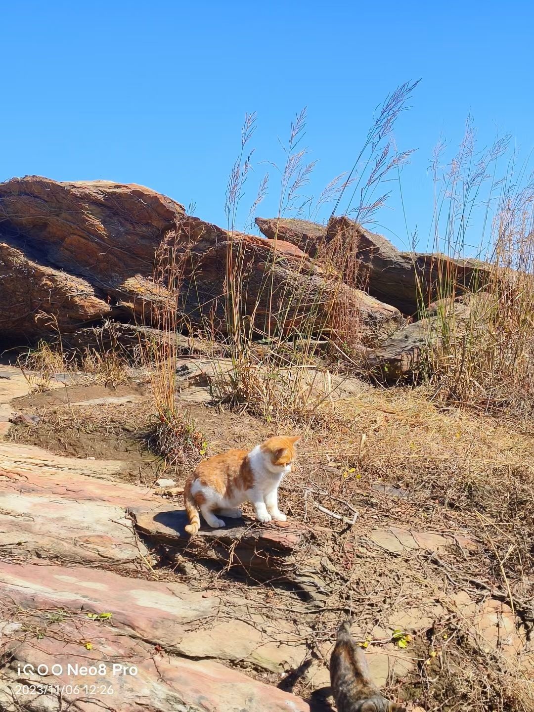 海上云台山国家森林公园