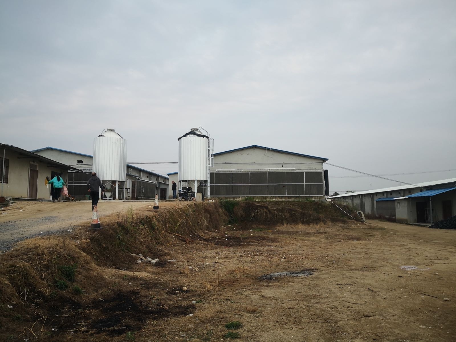 湖北省黄冈市新鑫鸡场