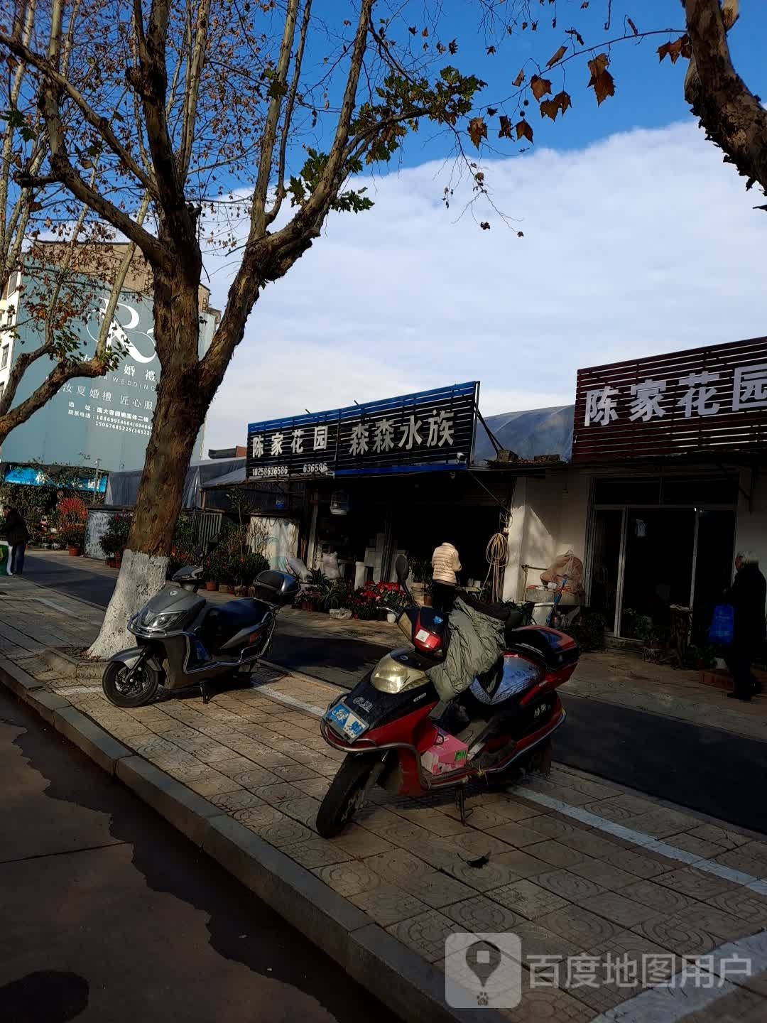 森森水族(人民东路店)