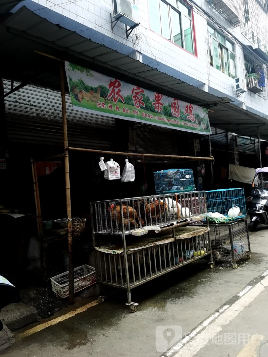 农家果园鸡(经贸南街店)