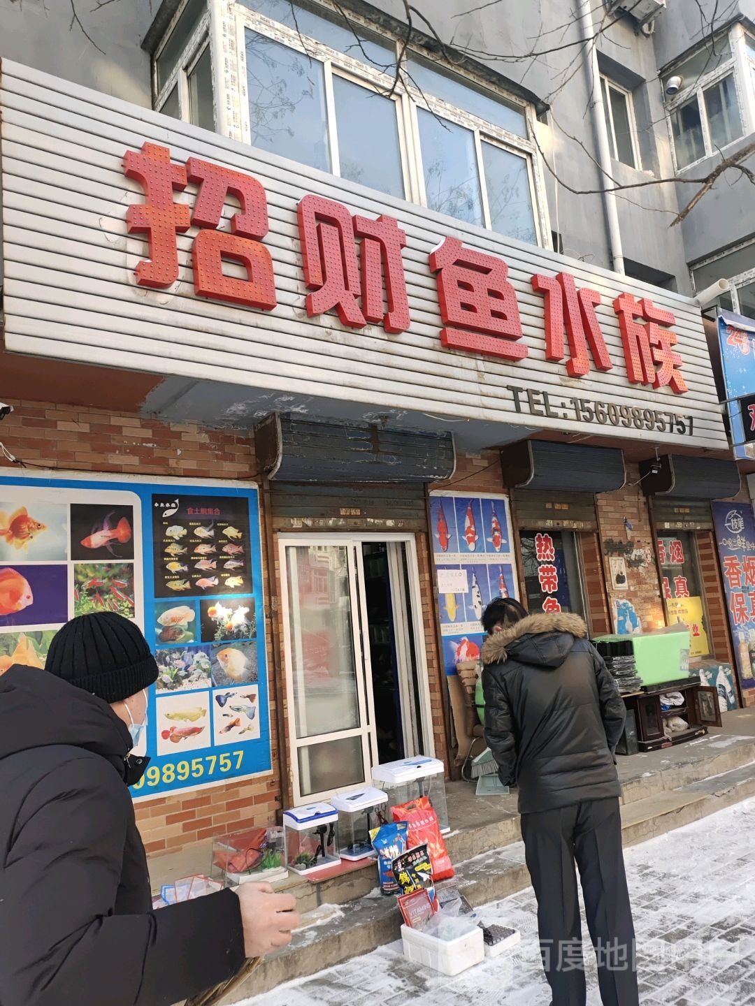 招财鱼水族