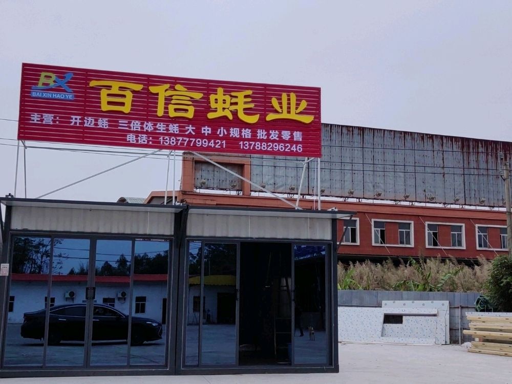 钦州市百信蚝业