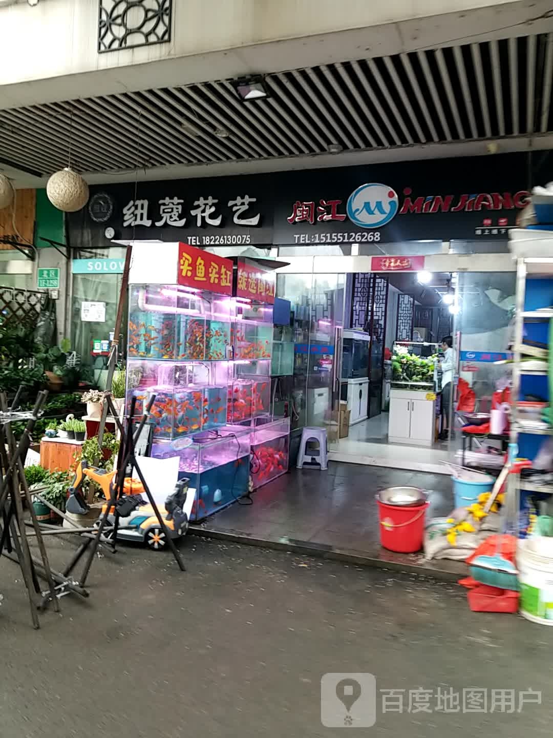 闽江(海卉店)