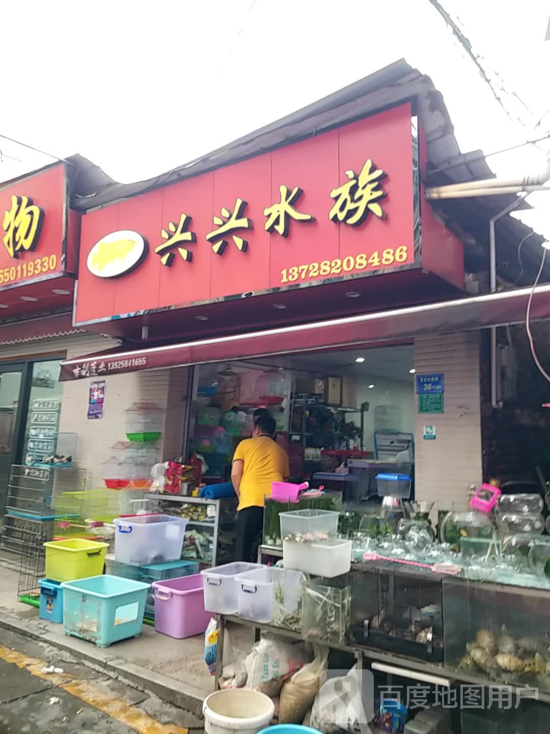 兴兴水族