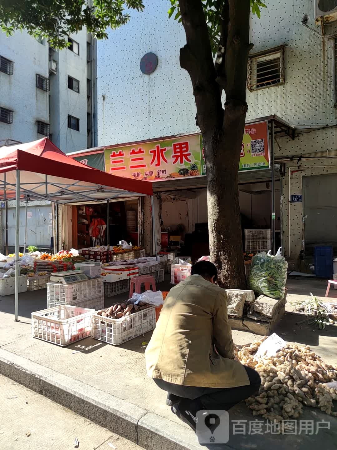 兰兰水果