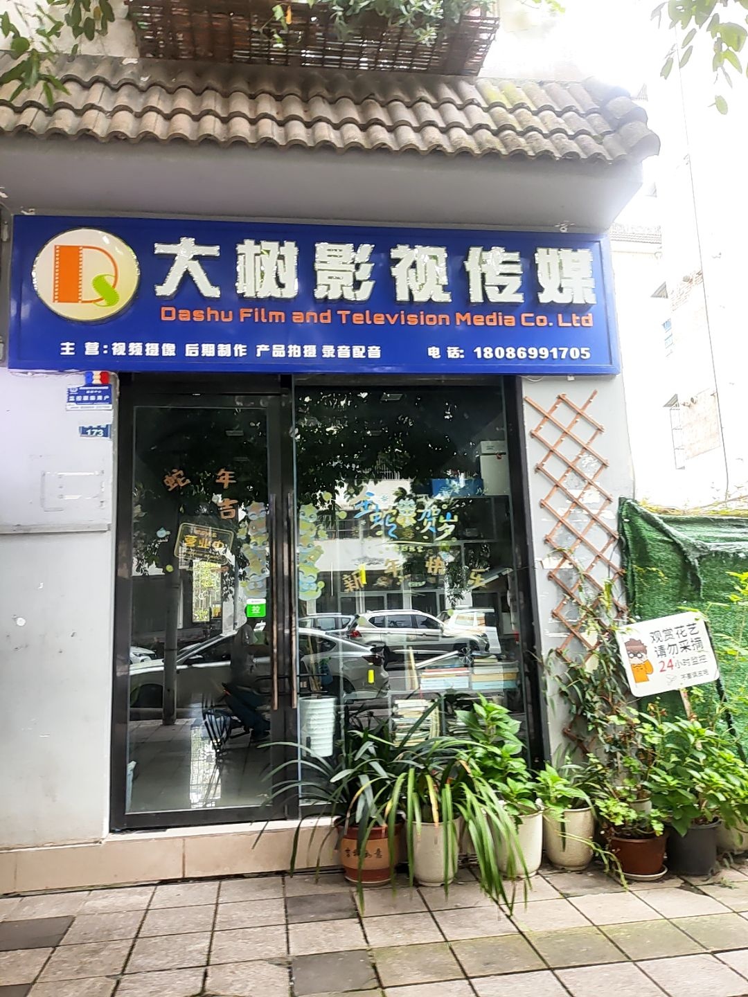大树影视传媒