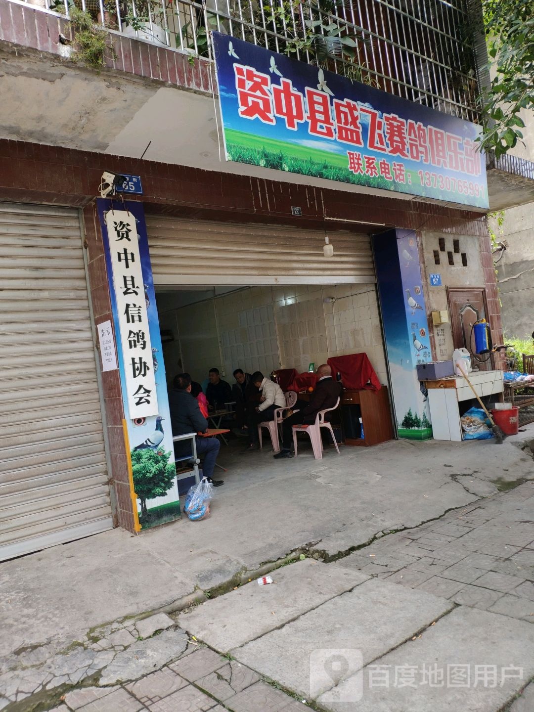 资中县盛飞赛鸽马俱部