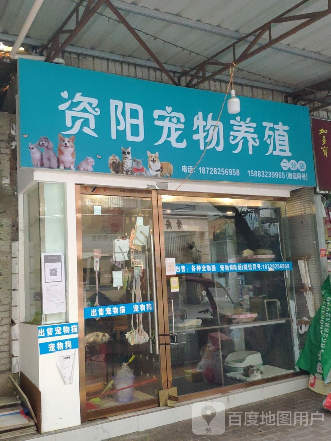 资阳宠物养殖(二分店)